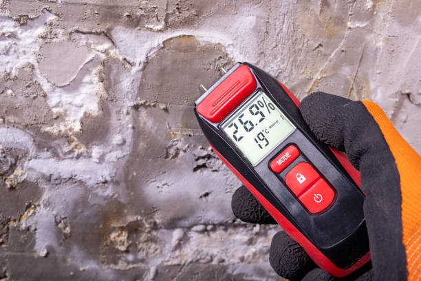 Best Water Damage Restoration  in Lake Lotawana, MO