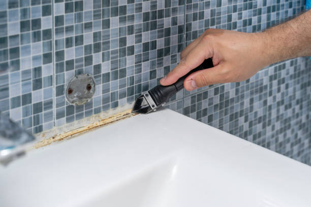 Best Emergency Mold Removal  in Lake Lotawana, MO